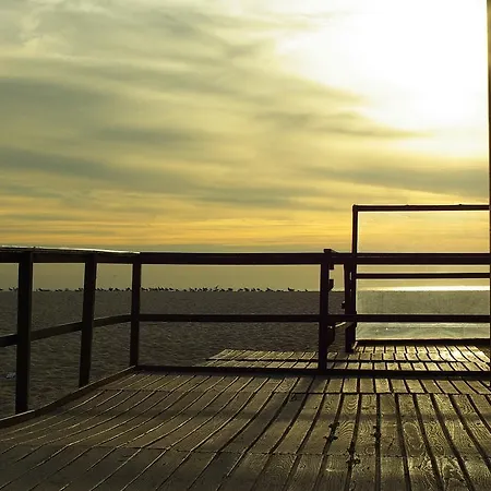 Daire Em Cima Da Areia